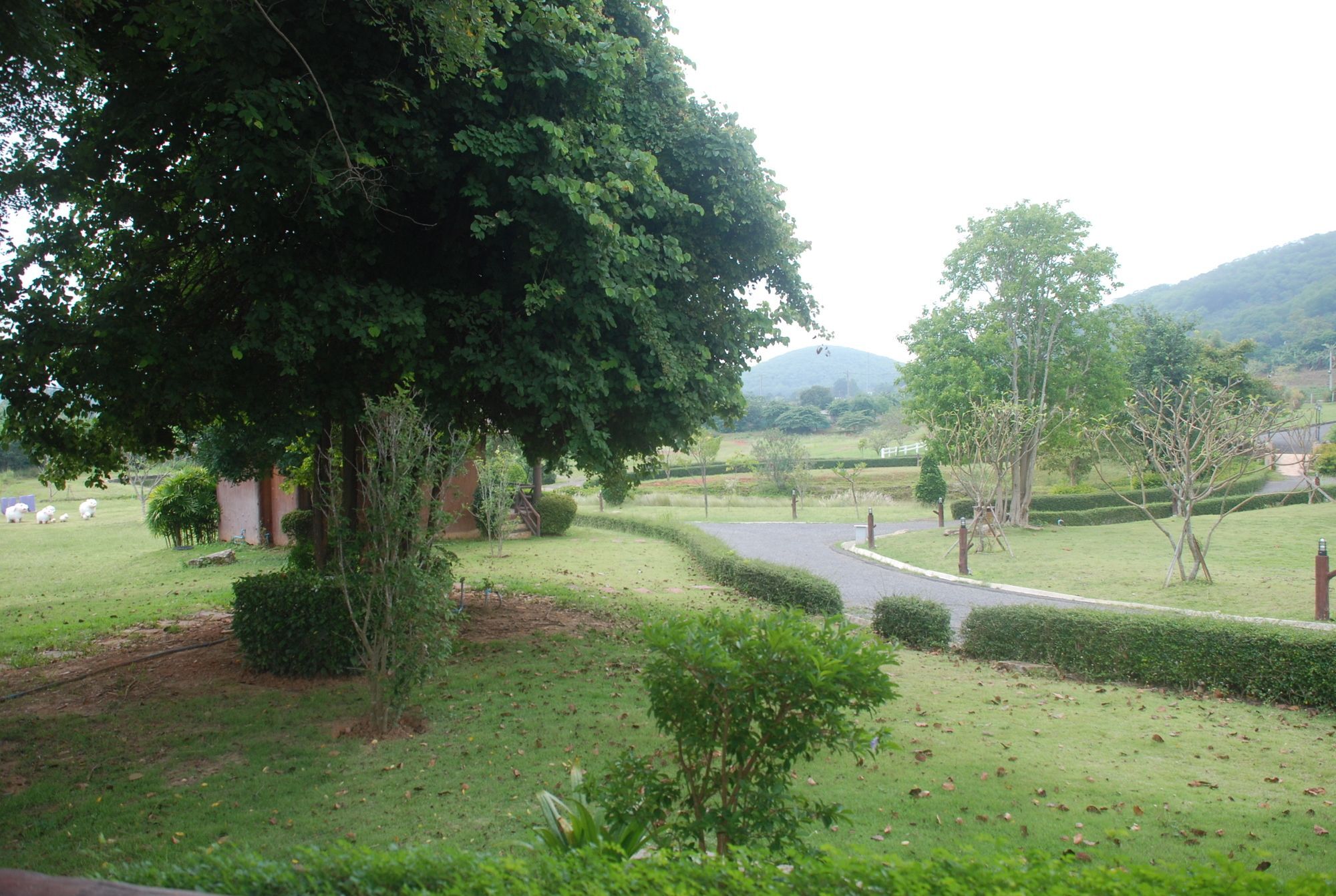 Phureenun Resort Pakchong Luaran gambar